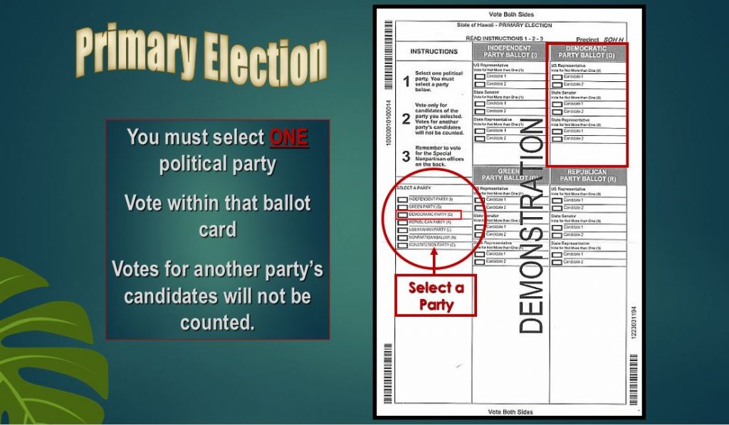 Primary Election preview