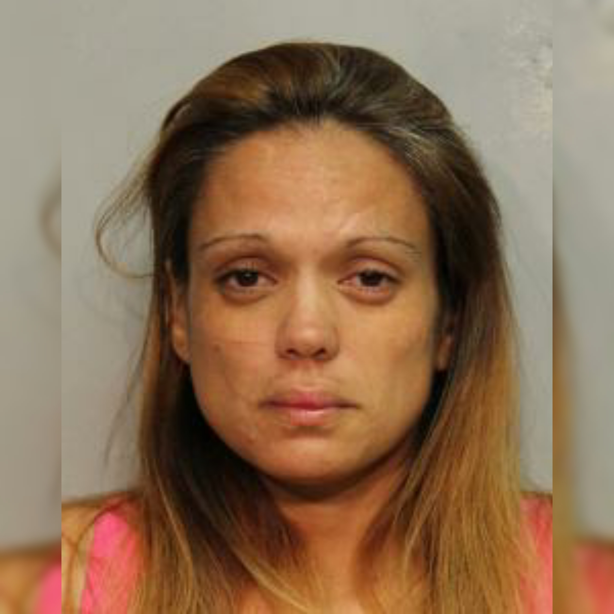 Hilo Woman Charged After Intentionally Hitting Police Vehicle Big Island Thieves