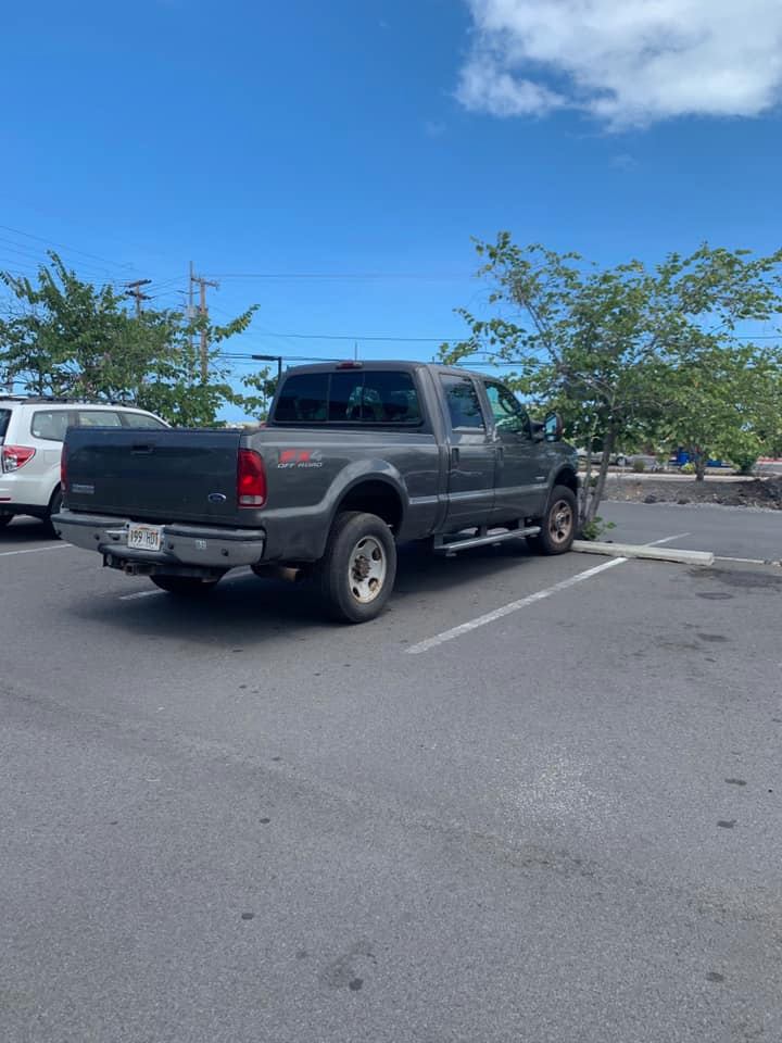 Grey 2005 Ford F-250 Diesel #199 HDT - Big Island Thieves