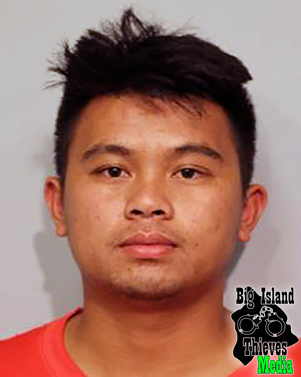 Big Island Man Charged with Child Porn - Big Island Thieves