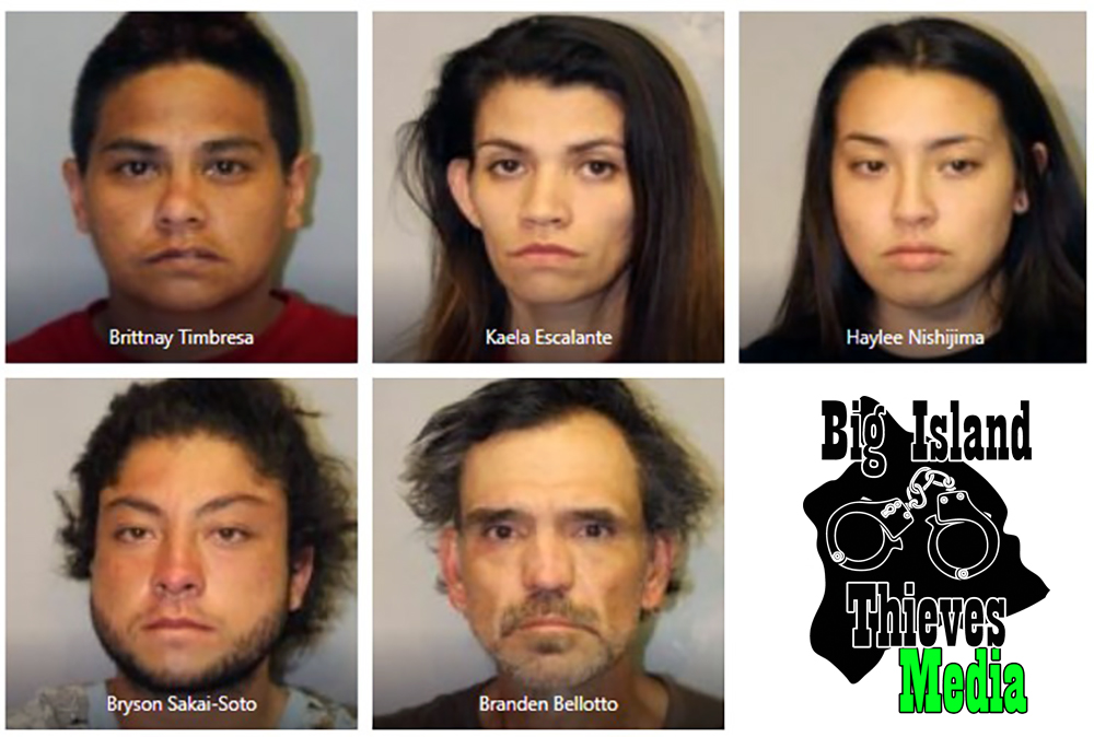 Five Arrested for Theft in Hilo Big Island Thieves