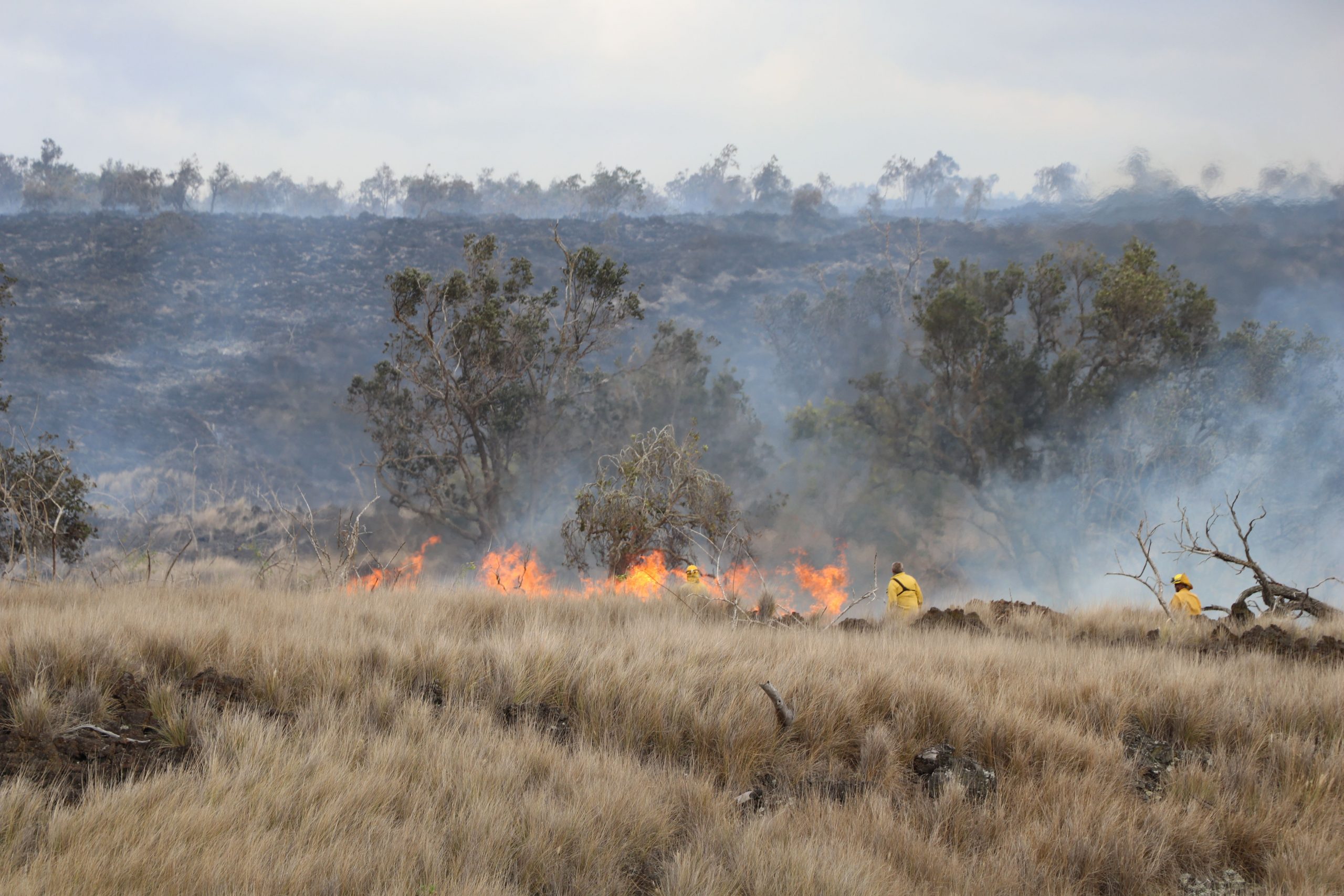 Leilani Wildfire Acreage Estimated at 25,000 - Big Island Thieves